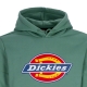 felpa cappuccio uomo icon logo hoodie DARK IVY