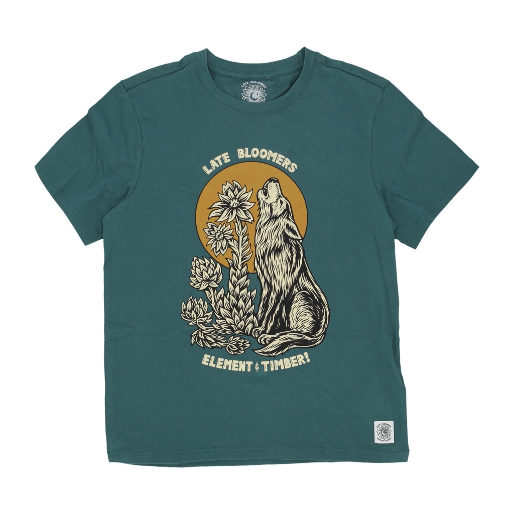 maglietta uomo howl tee x timber JASPER