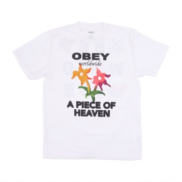 maglietta donna piece of heaven pigment choice box tee WHITE