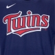 maglietta uomo mlb wordmark tee mintwi ORIGINAL TEAM COLORS