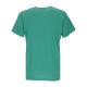 maglietta uomo nba dri-fit essential crftd logo tee boscel CLOVER