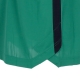 maglietta manica lunga uomo nba dri-fit long-sleeve top boscel CLOVER/BLACK