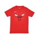 maglietta ragazzo nba essential logo tee chibul ORIGINAL TEAM COLORS