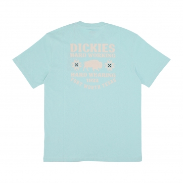 maglietta uomo hays tee PASTEL TURQUOISE