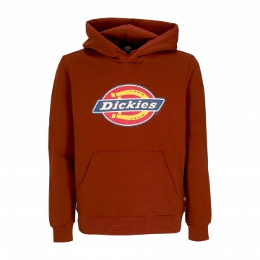 felpa cappuccio uomo icon logo hoodie FIRED BRICK