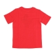maglietta ragazzo nba dri fit essential crafted logo tee chibul ORIGINAL TEAM COLORS
