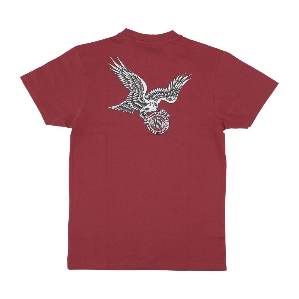 maglietta uomo btg eagle summit tee MAROON