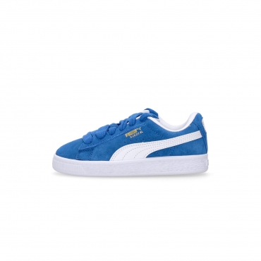 scarpa bassa ragazzo suede xl ps TEAM ROYAL/WHITE