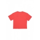 maglietta uomo college tee RADIANT RED
