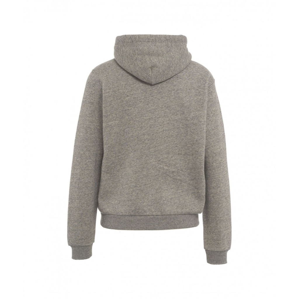Felpa con cappuccio con logo ricamato grigio