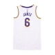 canotta basket uomo nba dri fit swingman jersey no 6 lebron james loslak WHITE