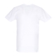 maglietta uomo strega venezia tee WHITE
