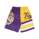 pantaloncino basket uomo ncaa jumbotron 30 shorts loutig MULTI/WHITE