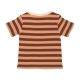 maglietta corta donna strip logo emb tee SEPIA STRIPE