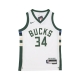 canotta basket ragazzo nba association edition swingman jersey no 34 giannis antetokounmpo milbuc ORIGINAL TEAM COLORS