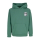 felpa leggera cappuccio uomo eyes icon 2 premium french terry hooded po PALM LEAF