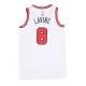 canotta basket uomo nba dri-fit swingman jersey association edition 22 no 8 zach lavine chibul WHITE