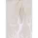 pantalone corto tuta uomo white lightning shorts SAND